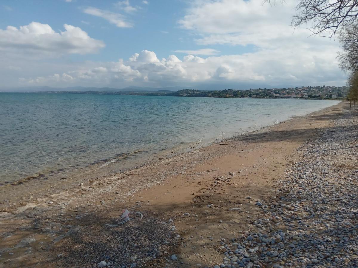 Bed and Breakfast Apollon And Artemis Paralia Avlidhos Экстерьер фото